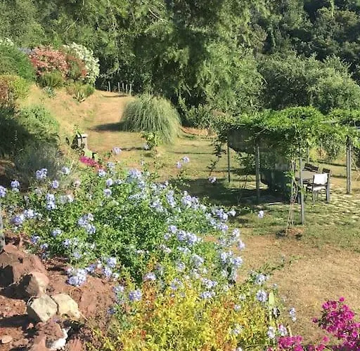 #2 Cinque Terre, Tuscany, Liguria,