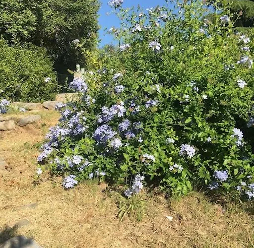 Διαμέρισμα #2 Cinque Terre, Tuscany, Liguria, *